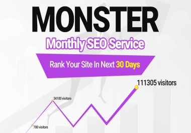 Monster Monthly SEO Service,  Rank Your Site in next 30 Days