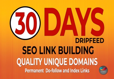 Submit 30 Days Drip Feed SEO Link Building Service for Daily Update