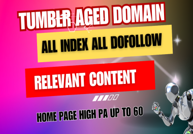 i will make permanent tumblr Aged domain Real SEO home page PA 30 up to 60