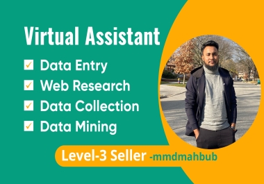 Professional Virtual Assistant for Data Entry,  Data Mining,  Copy-Paste,  and Web Research Services