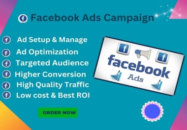 Expert Facebook Ad Setup & Optimization for 2024