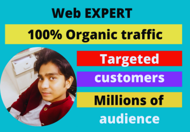 3000+ Targeted Web Traffic To Your Blog Or Website