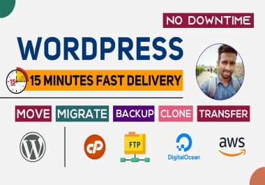 I will transfer,  move,  migrate wordpress website to new host or domain