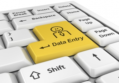 Do any kind of data entry work for 2 hour