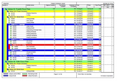 I make gantt charts on Primavera p6