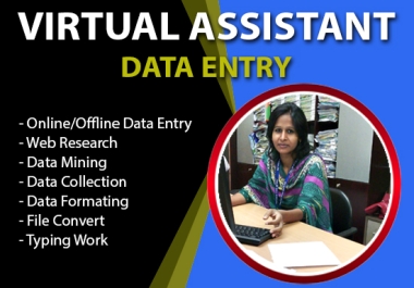 I will be your virtual assistant for data entry or any