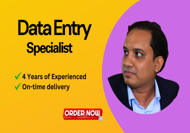 provide fast and reliable data entry services in time until client satisfy