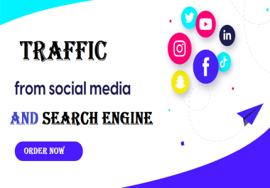 30k+ Web Traffic from Soial Media & Search Engine for 7 Days