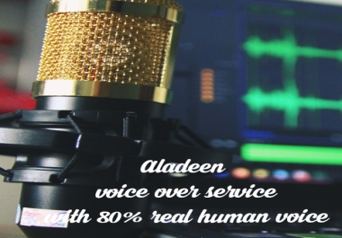I will create a professional voice over for your videos,  articles with 80 real human voice
