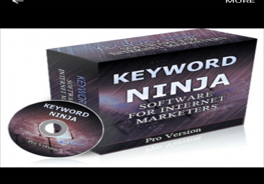 Keyword Ninja software for internet marketers pro version