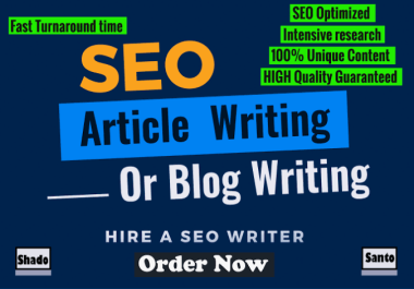 I will be your SEO pro manual re-writer for your website and blog post