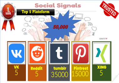 I WILL PROVIDE Top 5 Platform 50,000 Social Signals Help To Website Traffic Google Rank