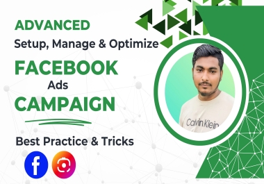 I will setup facebook and instagram ads campaign for leads and sales