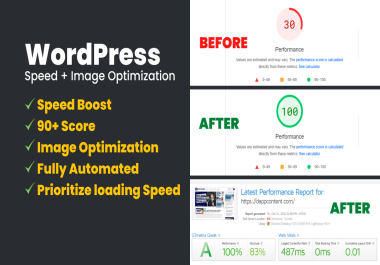 I will Optimize Your WordPress Website Speed to 0.3 secs +90 Score