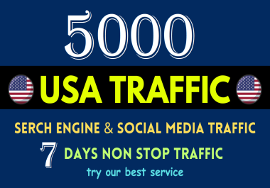 Add 5000+ Real and Organic USA Web Traffic to your Website