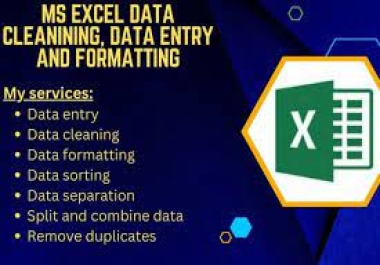Top-Ranked Data Expert for Data Cleaning,  Entry,  Formatting,  and PDF to Excel