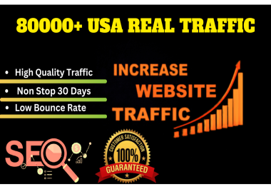 80000+Real Human Web Traffic To Your Website