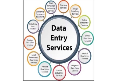 I will do fast data entry,  copy paste,  excel data entry,  pdf to excel