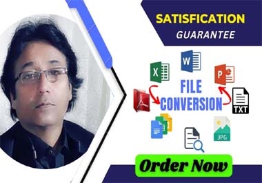 I will convert 50 PDF to Excel,  PDF to CSV,  PDF to Excel and Any kind of conversion