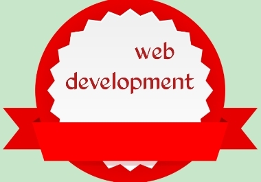 Professional Web development service