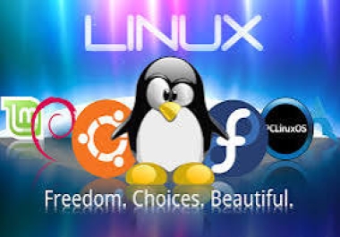 I support Linux and Network support,  so you give one chance then I give good service