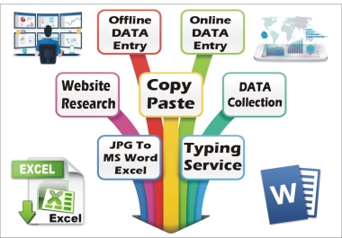 Online Offline DATA Entry web search copy paste work