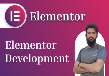 WordPress Elementor Developer Expert