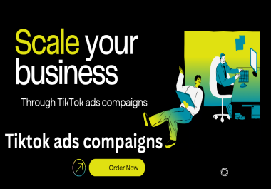 I will run successful tik tok ads campaign,  tik tok ads manager,  Tiktok advertising