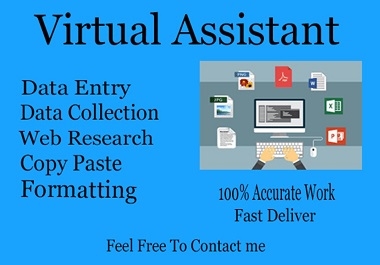 I will be your VIRTUAL ASSISTANT for Excel Data Entry,  Web Research,  Copy and Paste