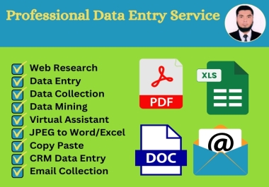 I will be your professional virtual assistant for data entry,  web research,  and more