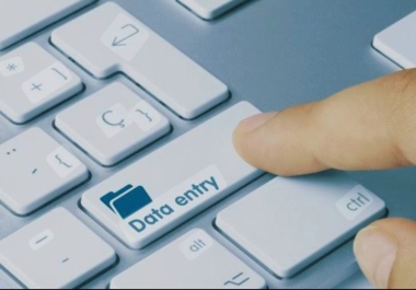 I Am A Data Entry Professional I Have Great Speed Typing Data Entry