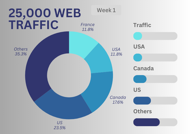 DRIVE TARGETED Human Traffic 1000 per day organic web traffic in 30s