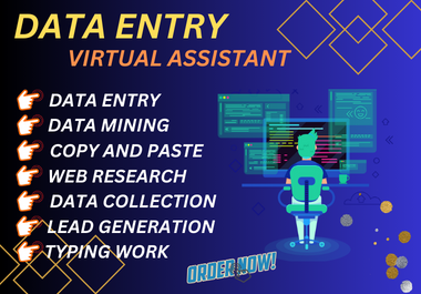 I will do data entry,  data mining and product listing as a virtual assistant.