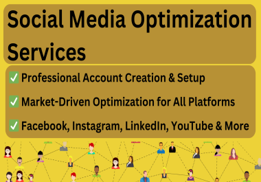 Complete Media Optimization & Strategy Full Setup and Success for All Platforms