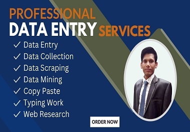 I will do your data entry,  data mining,  copy paste. pdf to excel,  typing work