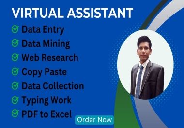 I will be your virtual assistant for data entry,  data mining,  copy paste,  web research,  typing