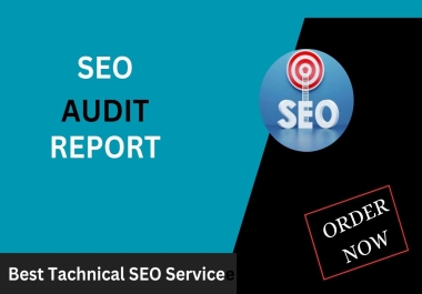 You will get a professional SEO Site Audit