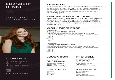 Professional Resume Design &ndash Stand Out Now