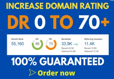 Increase Ahrefs Domain Rating DR 0 to 70 plus with in 10 days