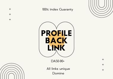 I Manually Create 300 Profile Backlinks from 300 Unique High Authority Domains