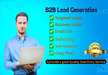 I will do B2B Lead Generation and Data Entry related work