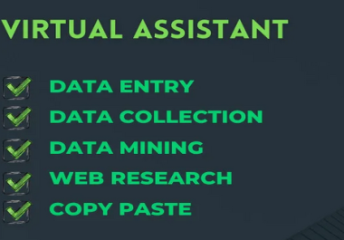 Be your virtual assistant for data entry and data collection