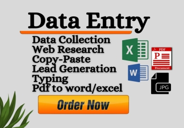 I will do data entry,  excel data cleaning,  typing,  copy paste,  pdf to excel