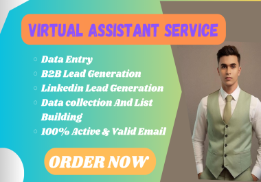 I will do Expert Virtual Assistant for Data Entry,  Lead Generation,  and Data Collection Solutions