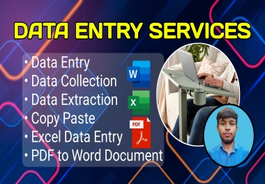 Expert Data Entry Services Fast & Accurate Data Entry Solutions on Seocheckout