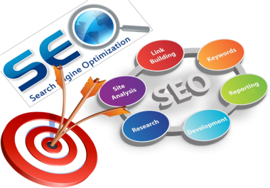 Rank Higher Expert SEO Solutions for Every Budget