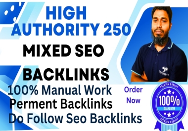 provide high-quality 100 mix backlinks to boost your SEO ranking