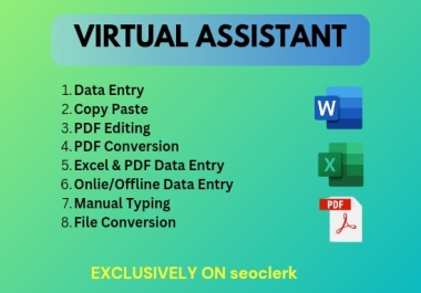 I will be your virtual assistant for data entry,  web research,  typing and copy paste