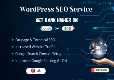 I Will Perform Expert WordPress Website SEO and Optimization