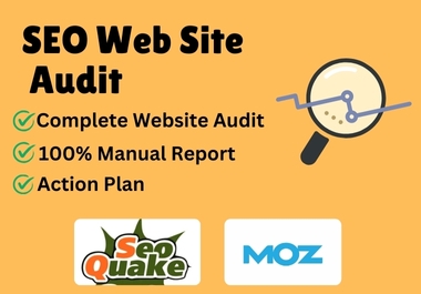 I will do complete seo audit report of your website with detail analysis